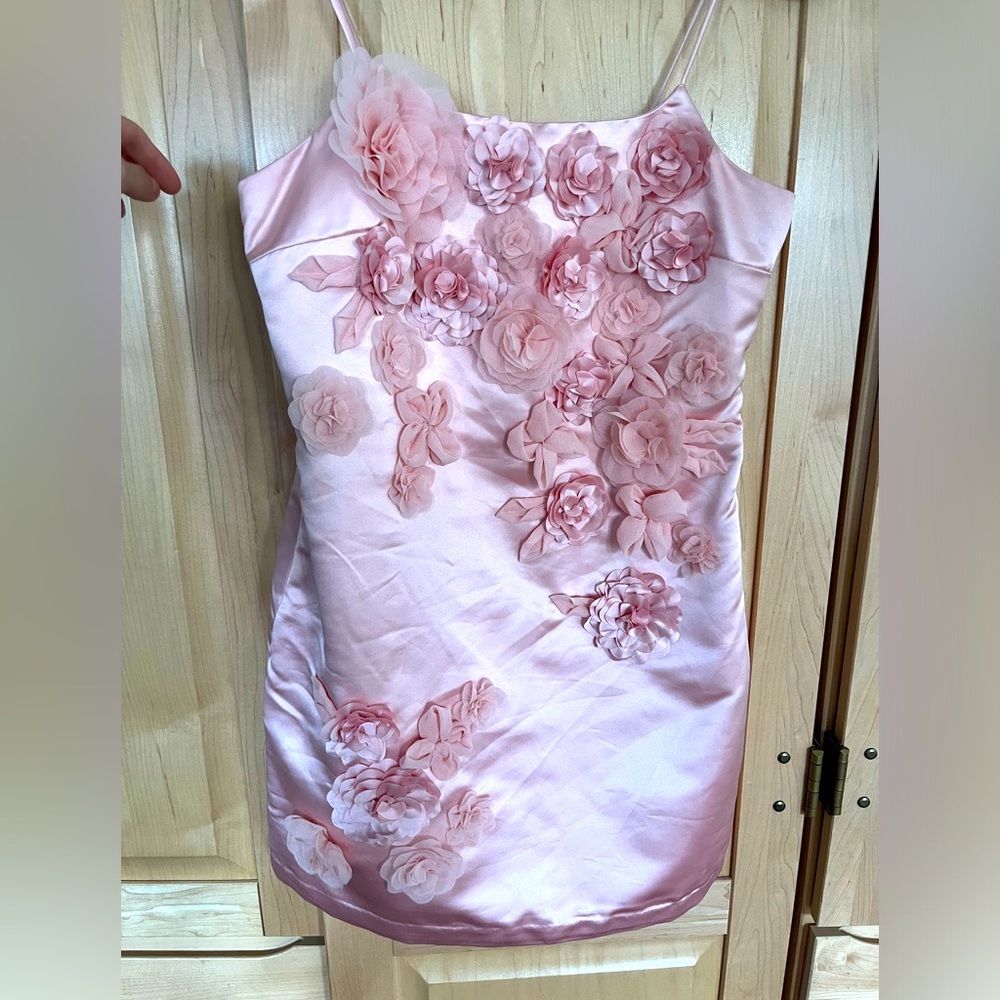 LoveShackFancy Mensa Mini Dress in Color Rose Champagne. Size: 0.